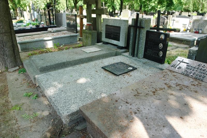 Zdjęcie grobu: Edward Schneider