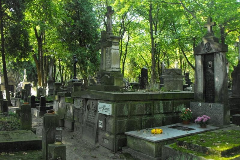 Zdjęcie grobu Marcjanna Ciechomska (1)
