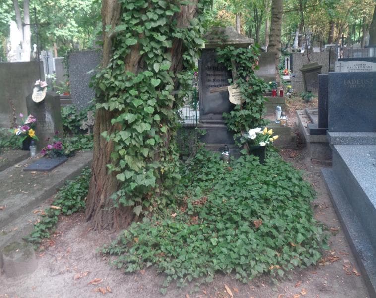 Zdjęcie grobu Piotr Wolniak (1)