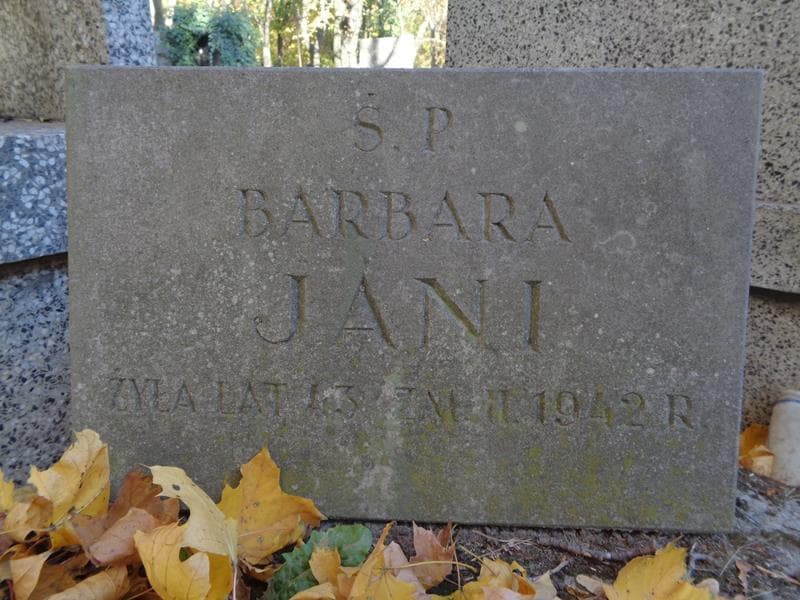 Zdjęcie grobu Barbara Jani (2)