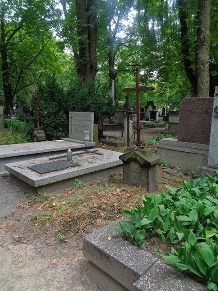Zdjęcie grobu: Eleonora Jakubowicz