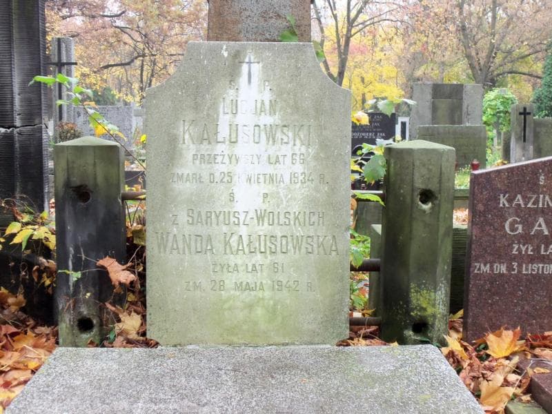 Zdjęcie grobu Zofia Iwińska (2)