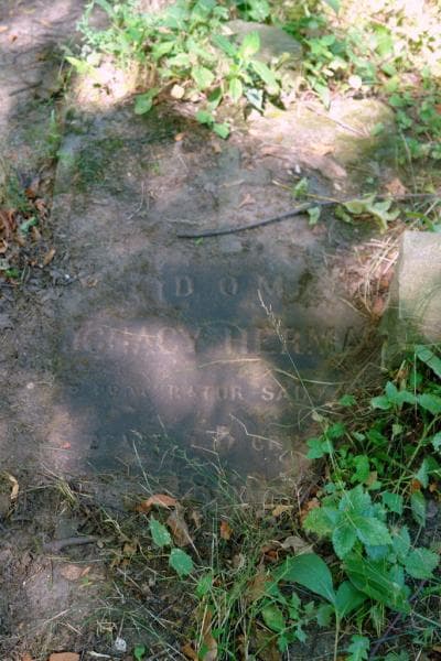 Zdjęcie grobu Ignacy Herman (2)
