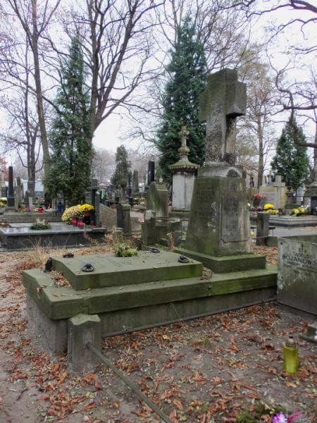 Zdjęcie grobu Zdzisław Zawodziński (1)