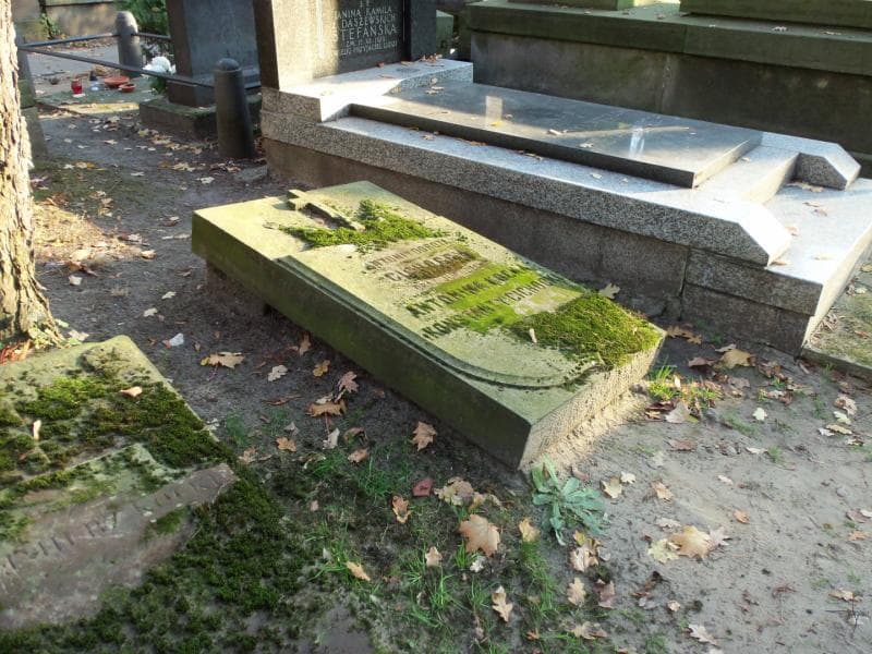Zdjęcie grobu Dorota Cichocka (1)