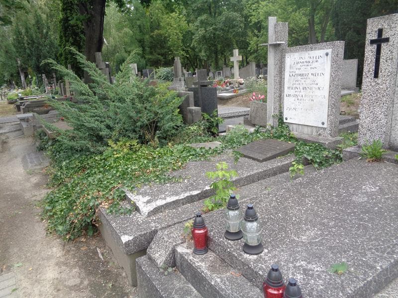 Zdjęcie grobu: Halina Ryniewicz