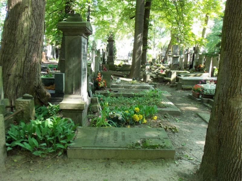 Zdjęcie grobu Roch Barański (1)