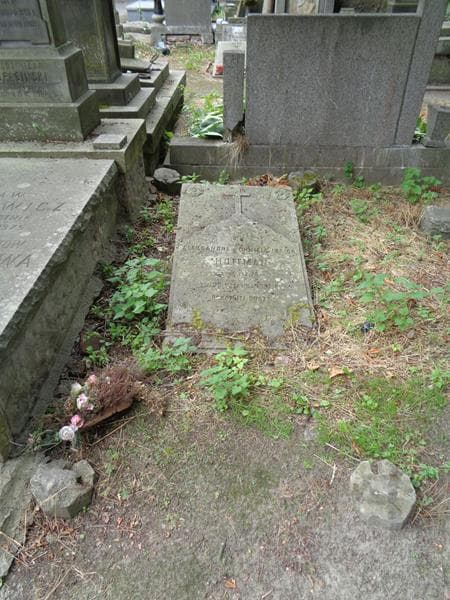 Zdjęcie grobu Aleksandra Hoffman (1)
