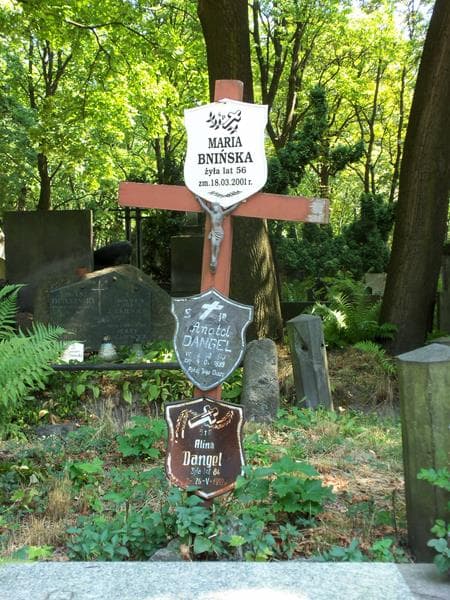 Zdjęcie grobu Alina Danglowa (2)