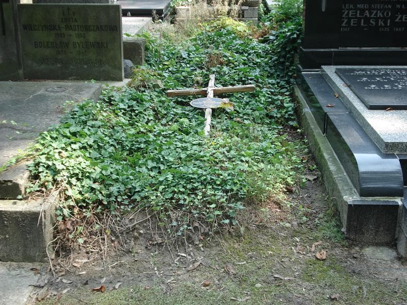 Zdjęcie grobu: Jarosław Tomilli-Szczepanowski