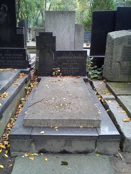 Zdjęcie grobu Kazimierz Iwiński (1)