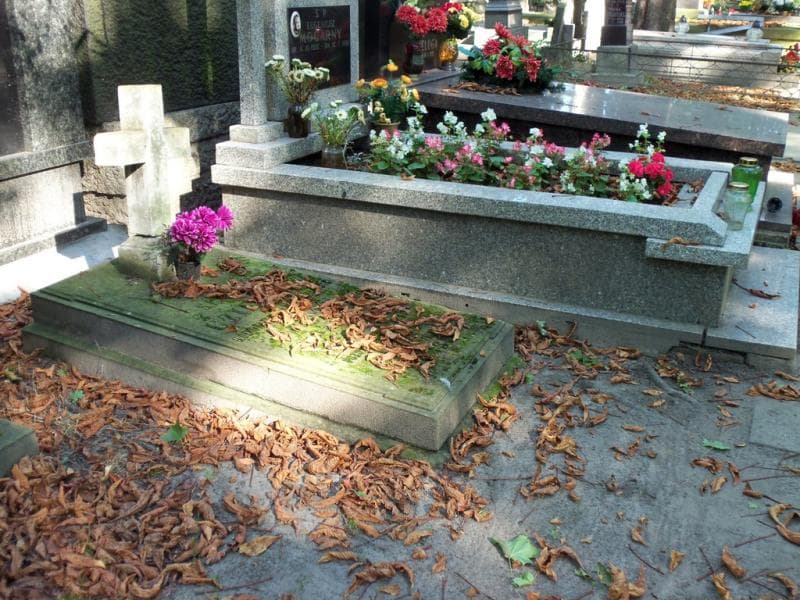 Zdjęcie grobu Seweryn Uziembło (1)