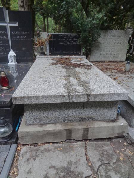 Zdjęcie grobu Franciszka Lewartowska (1)