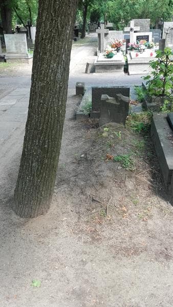 Zdjęcie grobu ... Klepacka (1)