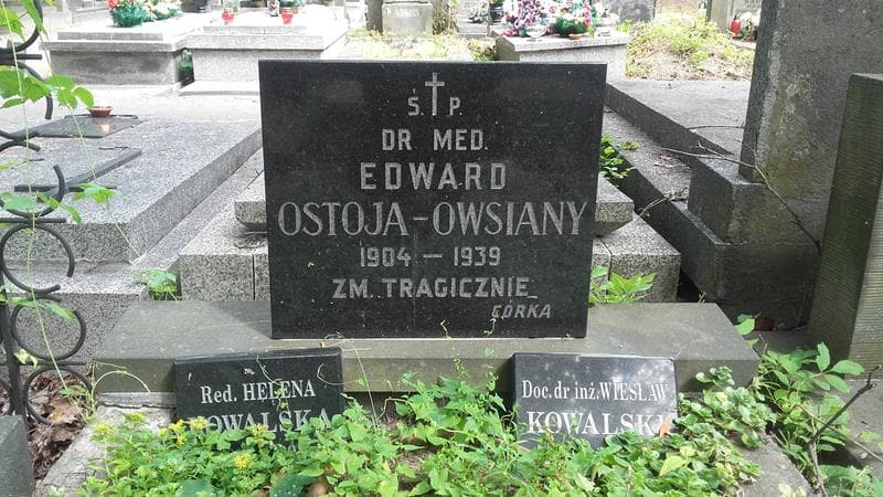 Zdjęcie grobu Edward Ostoja-Owsiany (2)