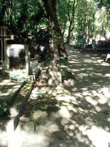 Zdjęcie grobu: Władzio Piasecki