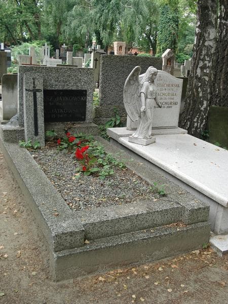 Zdjęcie grobu Andrzej Daniszewski (1)