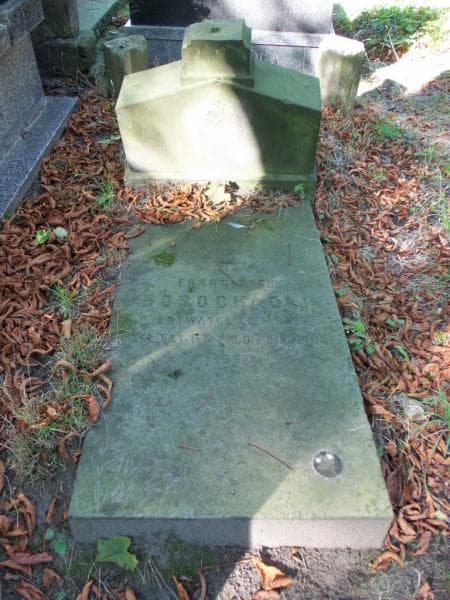 Zdjęcie grobu Franciszek Bosochacki (2)