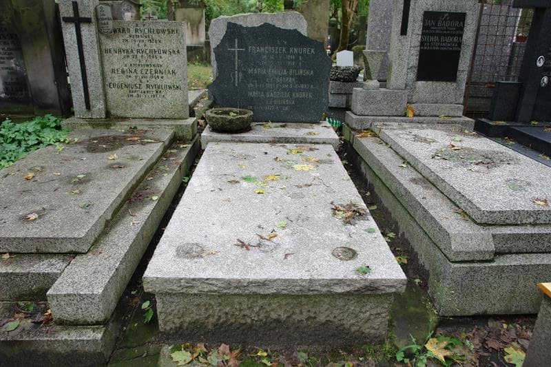 Zdjęcie grobu Franciszek Knurek (1)