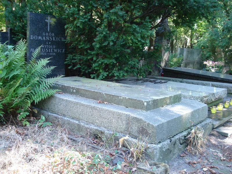 Zdjęcie grobu Bronisław Domański (1)