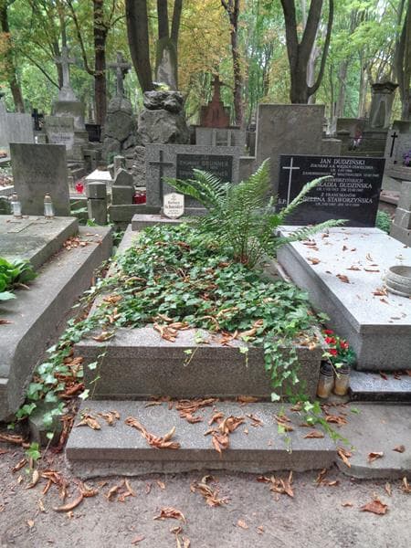 Zdjęcie grobu Zygmunt Brunner (1)