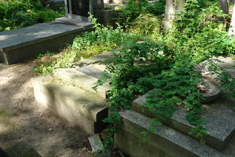 Zdjęcie grobu: Roman Żołopiński