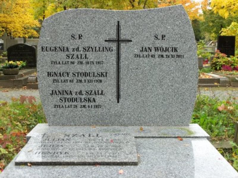 Zdjęcie grobu Ignacy Stodulski (2)
