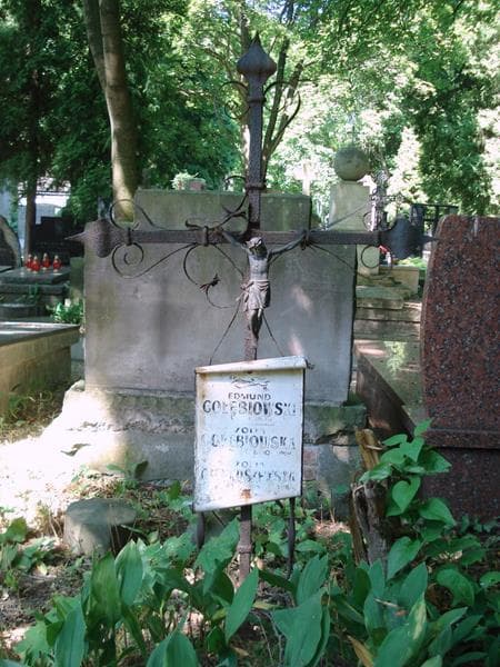 Zdjęcie grobu Zofia Cienkuszewska (2)