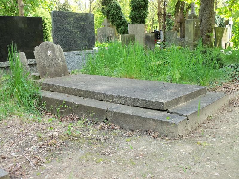 Zdjęcie grobu Zygmunt Lenkiewicz (1)