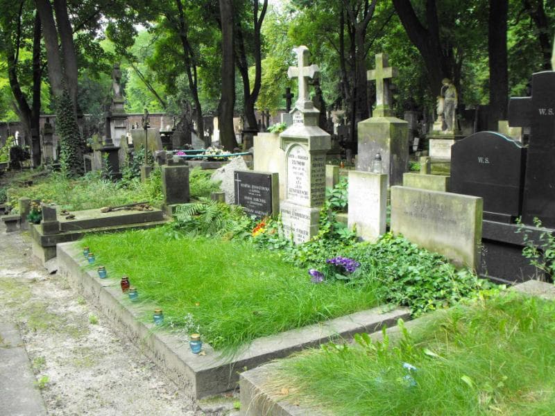 Zdjęcie grobu Edward Lewandowski (1)
