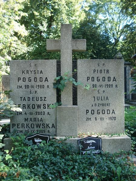 Zdjęcie grobu Piotr Pogoda (2)