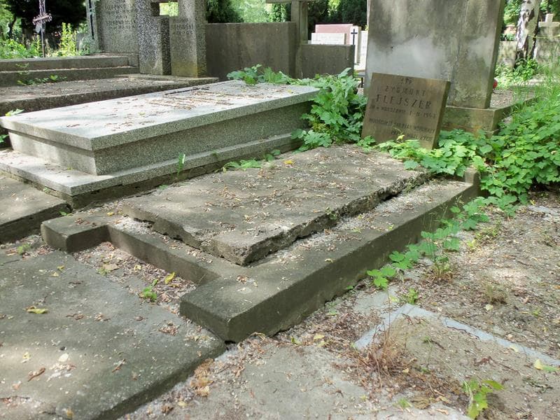Zdjęcie grobu Zygmunt Flejszer (1)