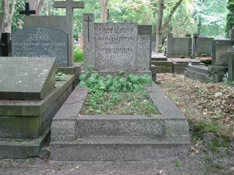 Zdjęcie grobu Michalina Czaplicka (1)