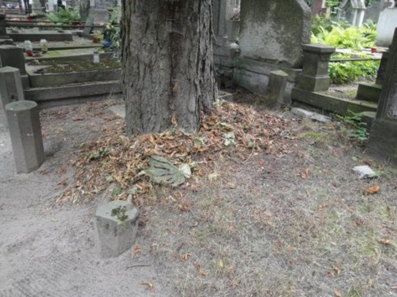 Zdjęcie grobu Pole Grobowe (1)