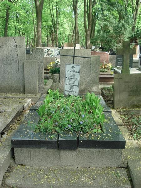 Zdjęcie grobu: Anatol Cemerski