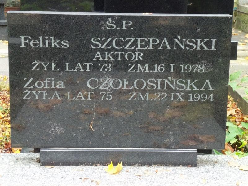 Zdjęcie grobu Zofia Czołosińska (2)