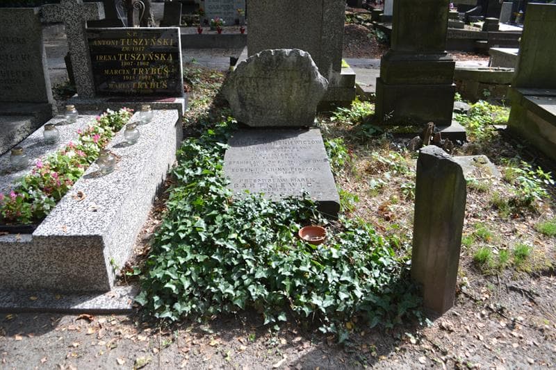 Zdjęcie grobu Kazimierz Nałęcz-Gartkiewicz (1)