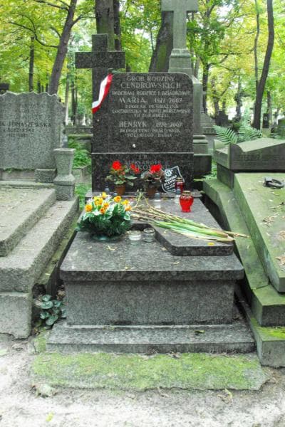 Zdjęcie grobu: Henryk Cendrowski