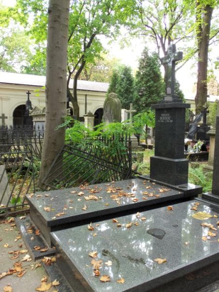 Zdjęcie grobu Wojciech Dziedzic (1)