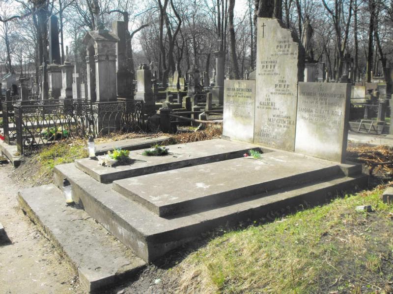 Zdjęcie grobu Władysława Malczewska (1)