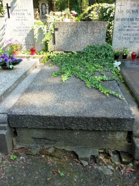 Zdjęcie grobu: Władysław Jankowski