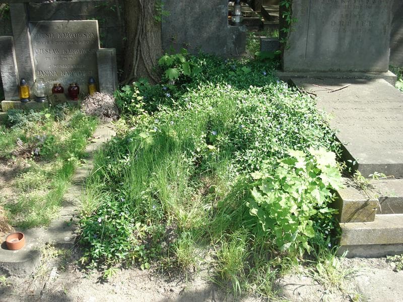 Zdjęcie grobu: Pole Grobowe