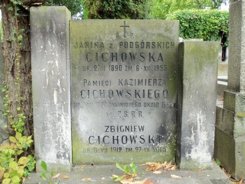 Zdjęcie grobu Janina Cichowska (2)