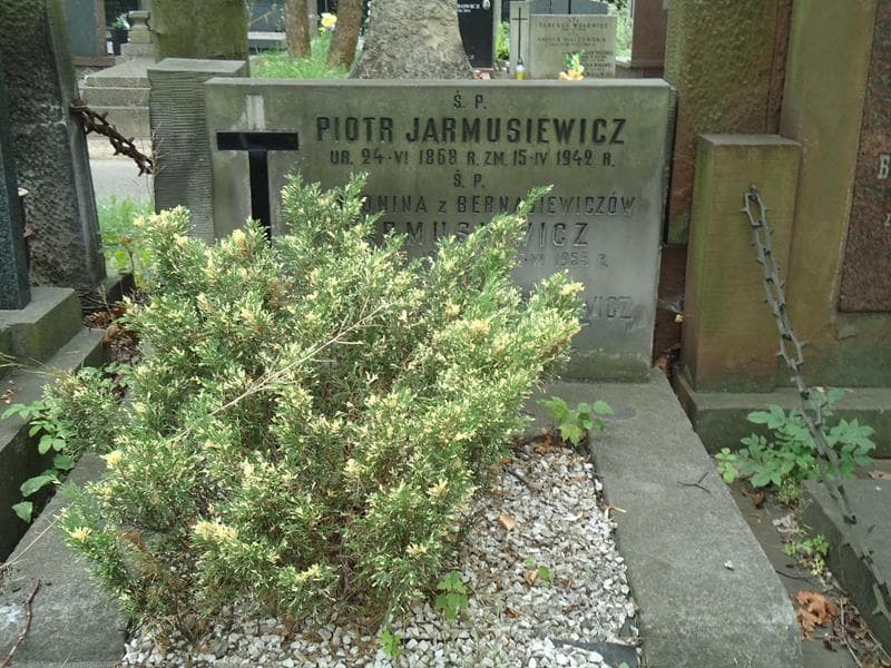Zdjęcie grobu Antonina Jarmusiewicz (2)