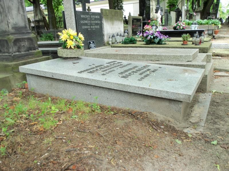 Zdjęcie grobu Stanisław Michalski (1)