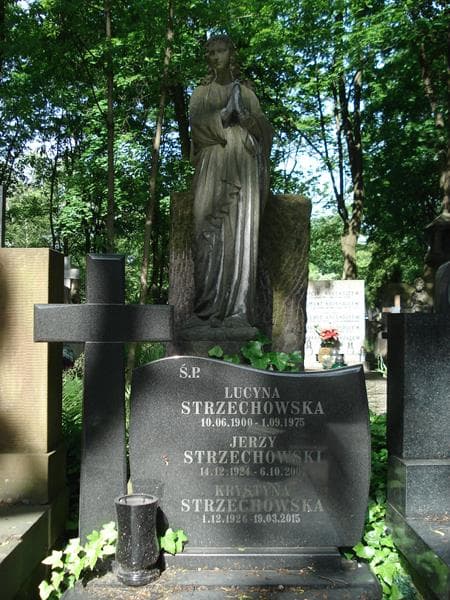 Zdjęcie grobu Krystyna Strzechowska (2)