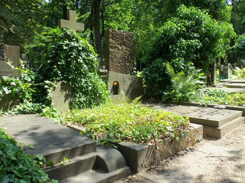 Zdjęcie grobu Zygmunt Tymiński (1)