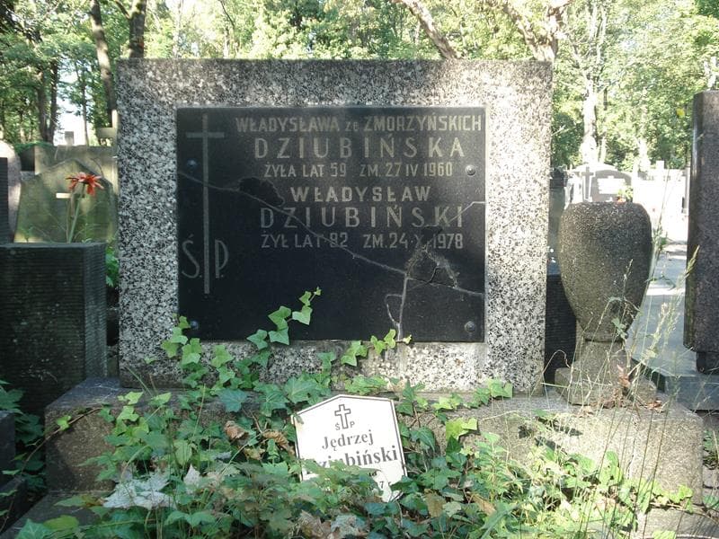 Zdjęcie grobu Władysław Dziubiński (2)