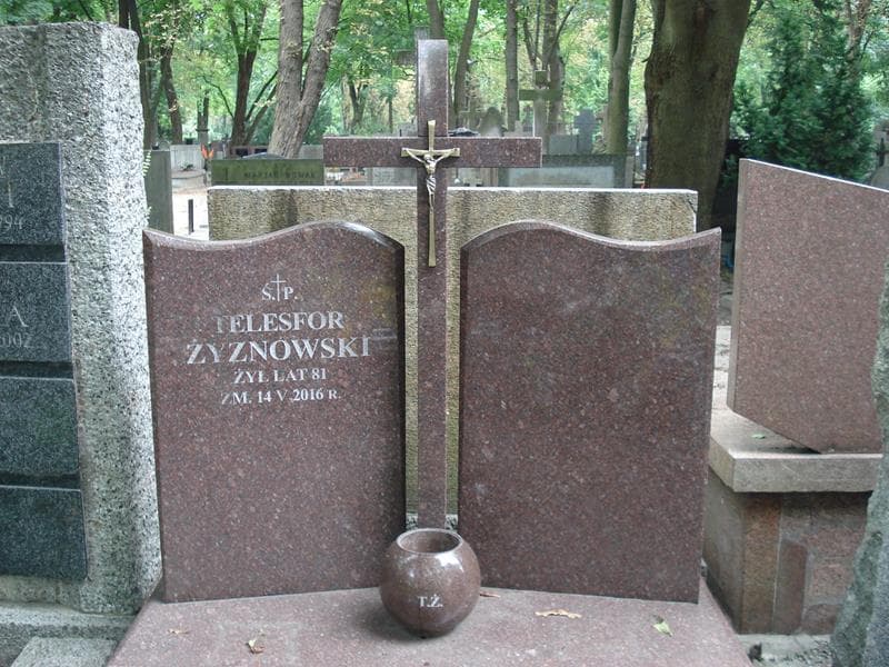 Zdjęcie grobu Telesfor Żyznowski (2)