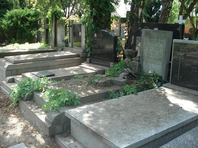 Zdjęcie grobu Józef Cyranowski (1)